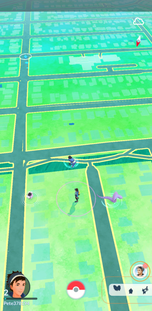 A screenshot of a Pokémon Go map, showing the user's location
