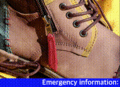 Thumbnail for version as of 02:22, 10 November 2016