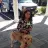 Sameera Kamra's avatar