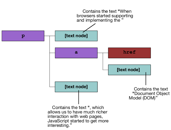 A visual DOM tree representation of an HTML document